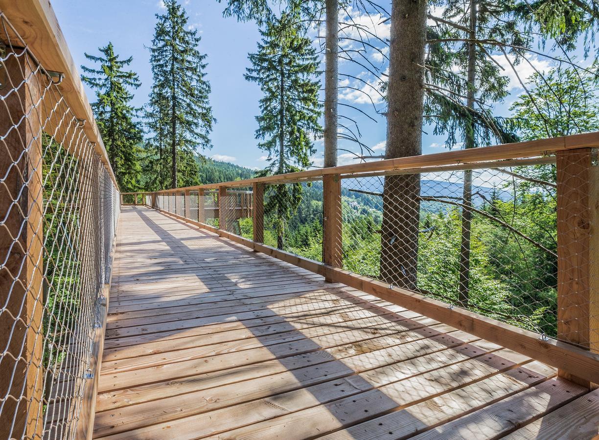 Ski Hotel Svoboda nad Úpou Екстериор снимка
