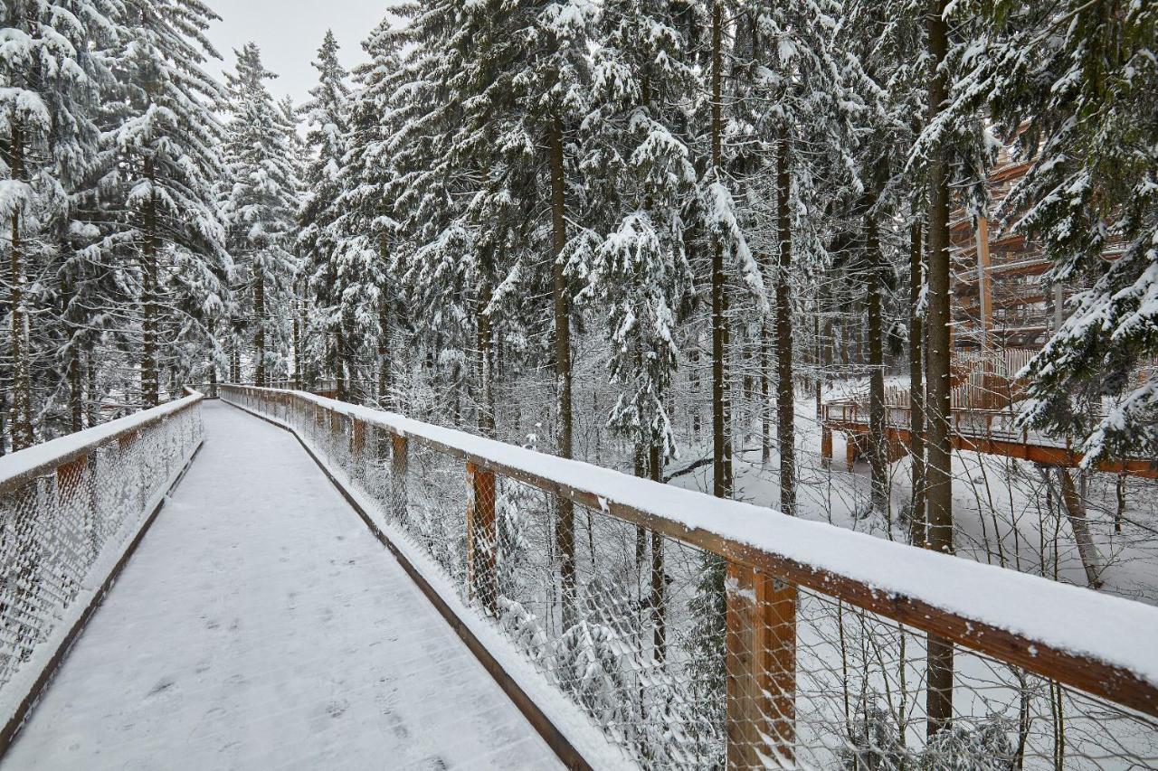 Ski Hotel Svoboda nad Úpou Екстериор снимка